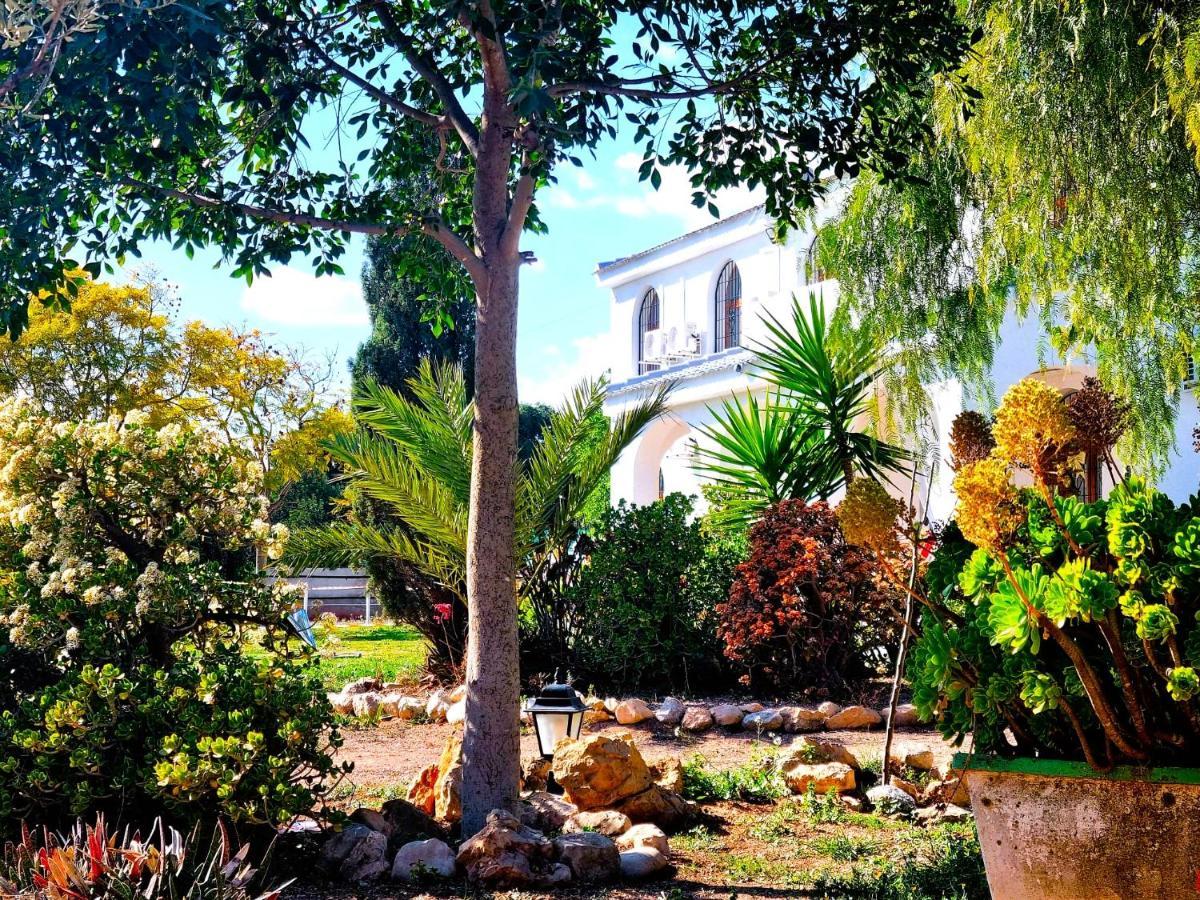 Chalet Alicante Sol Y Luz Sant Vicent del Raspeig  Exterior foto