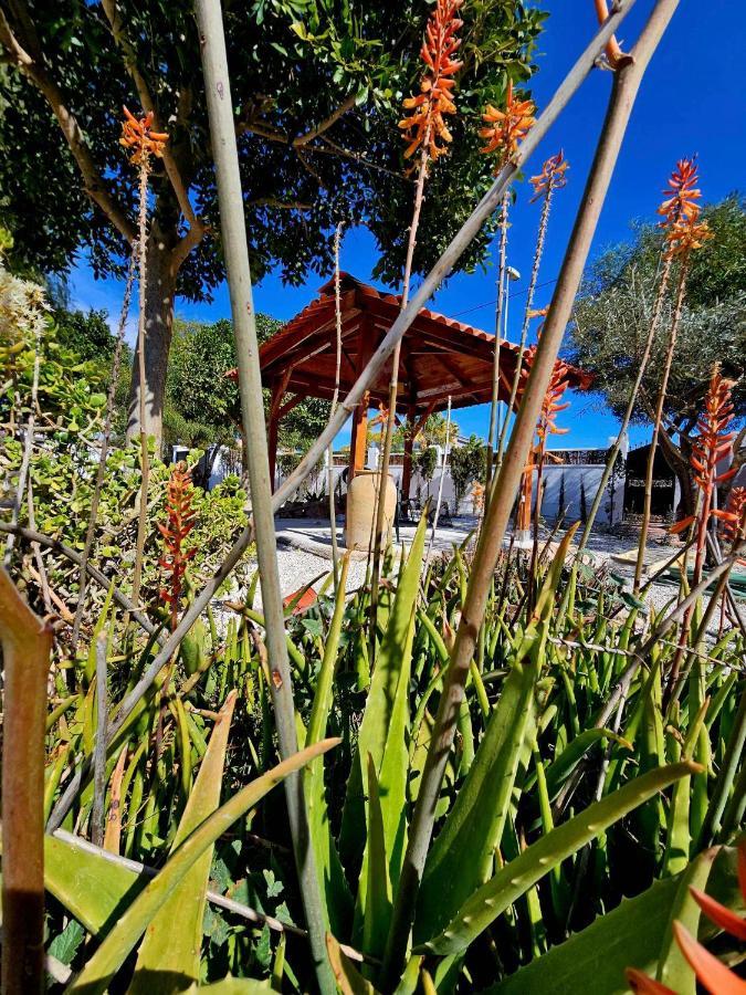 Chalet Alicante Sol Y Luz Sant Vicent del Raspeig  Exterior foto